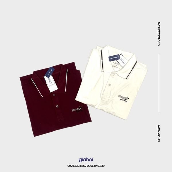  Fast Màu (Size M, L, XL) 