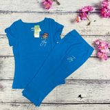  Mèo JOY SIZE M 