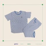  Sọc Nhỏ ICI (TNQD) L XL 