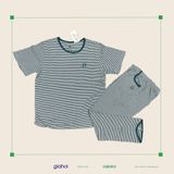  Sọc Nhỏ ICI (TNQD) L XL 