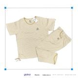  Sọc Nhỏ ICI (TNQD) L XL 