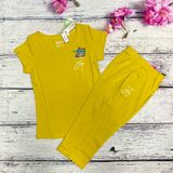  Mèo JOY SIZE M 