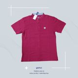  Chim cánh tròn (Size M, L, XL, XXL) 
