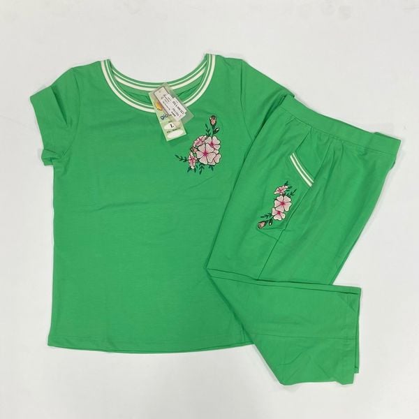  Sọc Hoa Tú Cầu TNQL M L XL XXL 