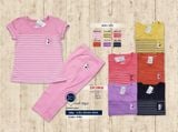  Gấu Đánh Đàn SIZE M 