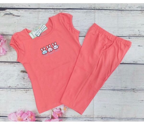  Ba Bạn Thỏ Mới(20-30kg) 