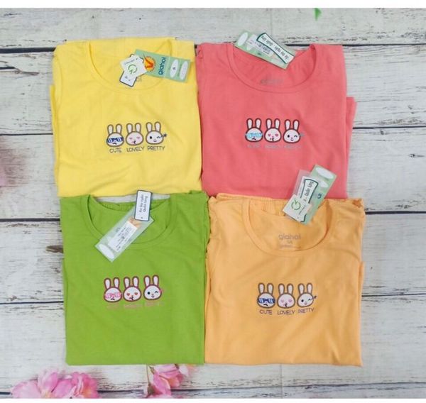  Ba Bạn Thỏ Mới(20-30kg) 