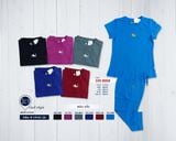  B Vàng TNQL L XL XXL(47-60KG) 