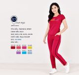 Training Sport TNQD M L XL 