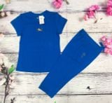  B Vàng TNQL L XL XXL(47-60KG) 