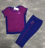  Seamen Sport L(TNQL) 