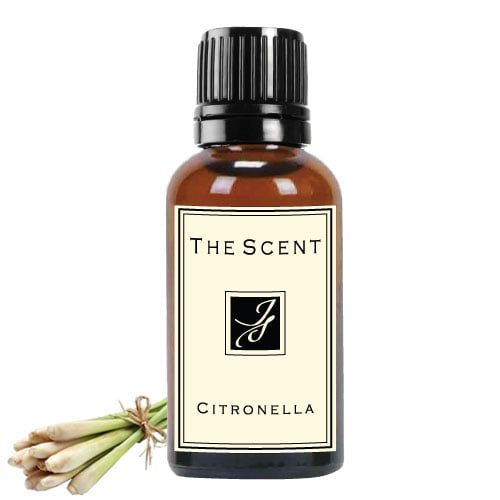 Tinh dầu Sả Java - Citronella - The Scent