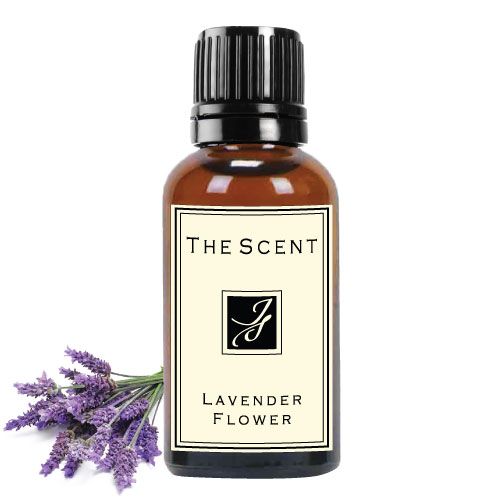 Tinh dầu Hoa Oải Hương - Lavender Flower -  The Scent