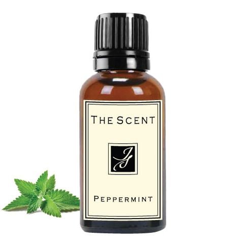 Tinh dầu Bạc hà - Peppermint - The Scent