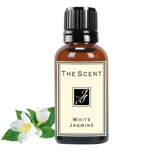 Tinh dầu hương Hoa lài trắng - White Jasmine - The Scent