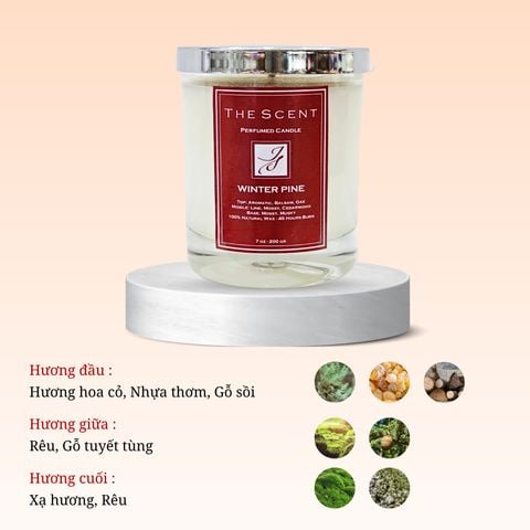 Nến thơm Winter Pine 7 - Nến thơm cao cấp, Nến thơm xông phòng, giúp thư giãn thương hiệu The Scent