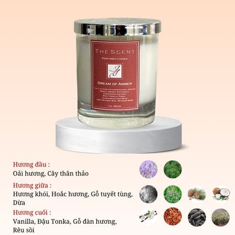 Nến thơm Dream Of Amber 14 - Nến thơm cao cấp, nến xông phòng, giúp ngủ ngon The Scent