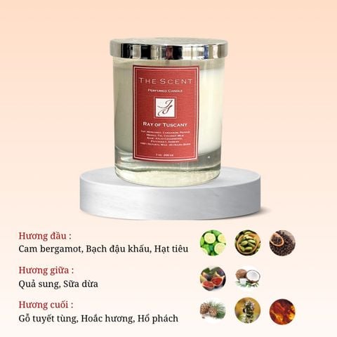 Nến thơm Ray Of Tuscany 12 - Nến thơm cao cấp, nến xông phòng, giúp ngủ ngon The Scent
