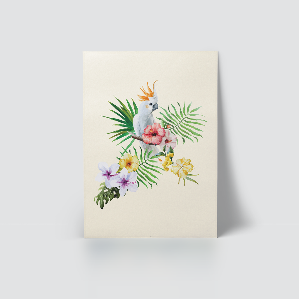 TROPICAL FOREST - WHITE PARROT