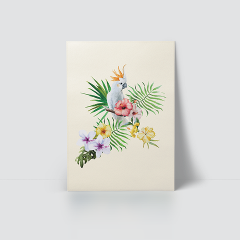 TROPICAL FOREST - WHITE PARROT