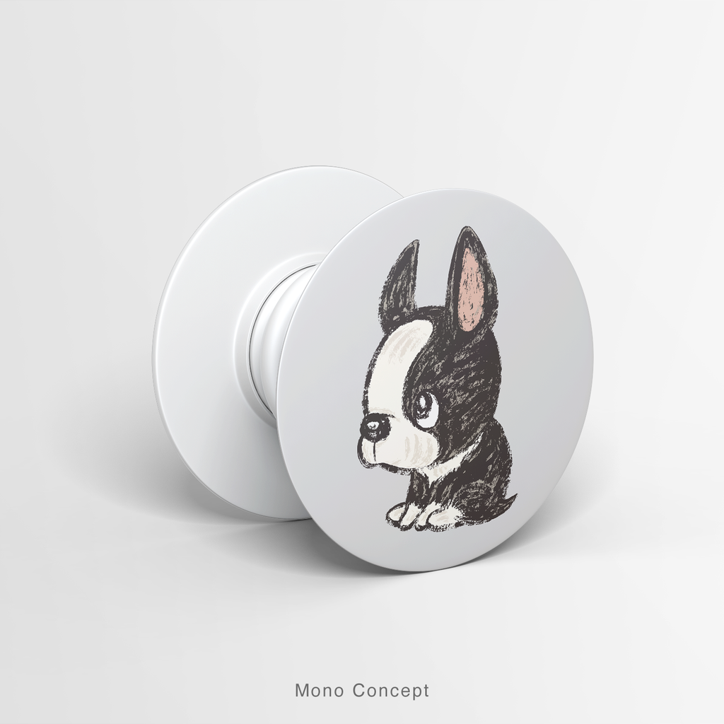 PETS - BOSTON TERRIER