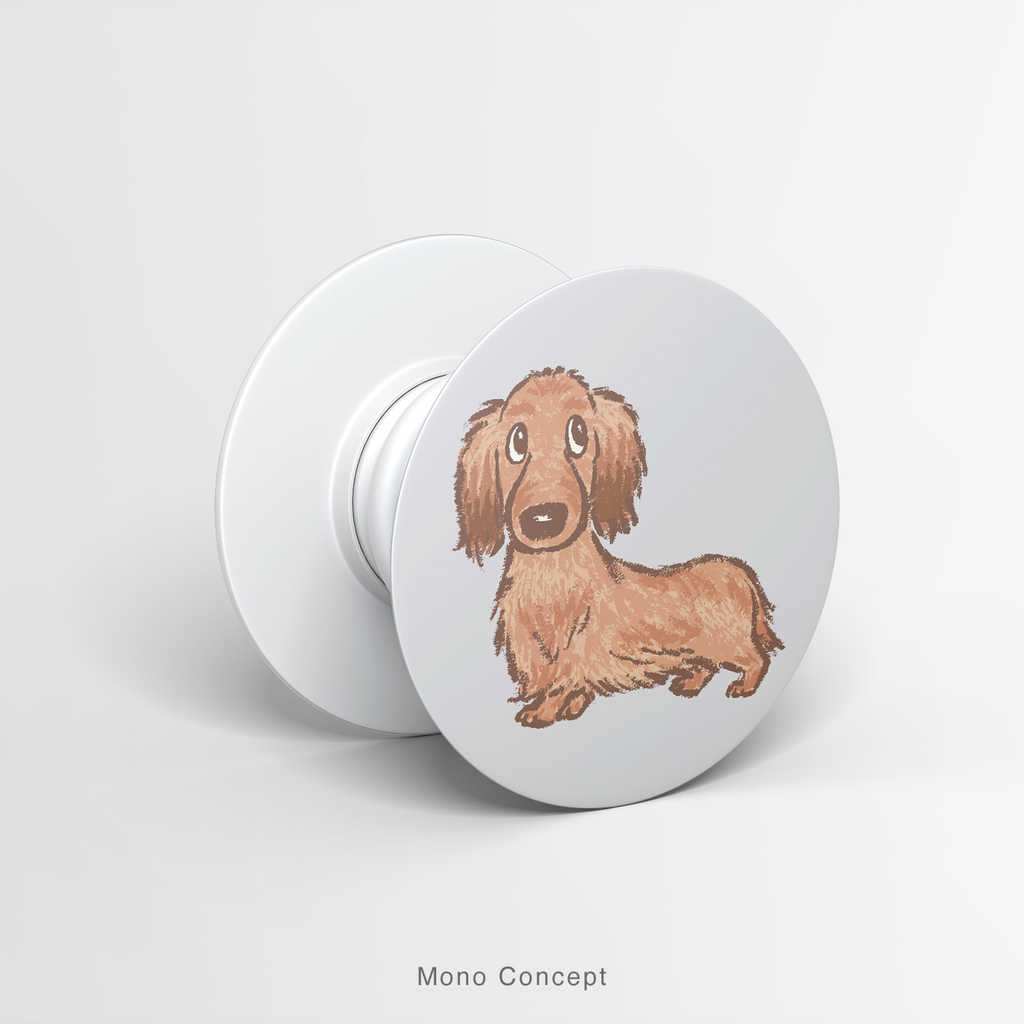 PETS - DACHSHUND