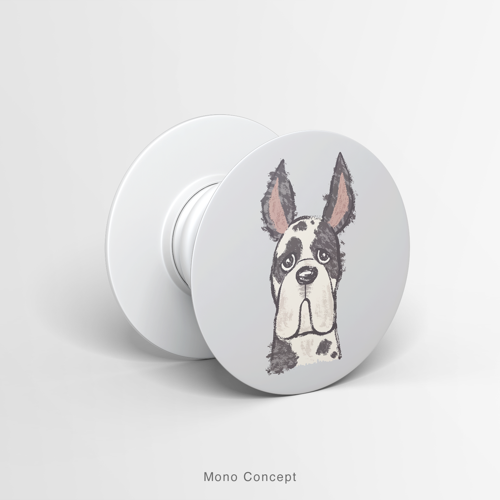 PETS - FRENCH BULLDOG