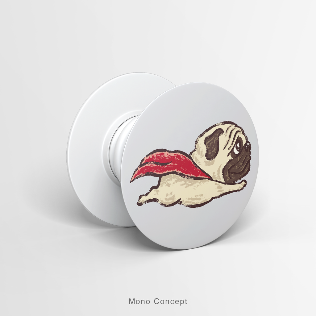 PETS - PUG HERO