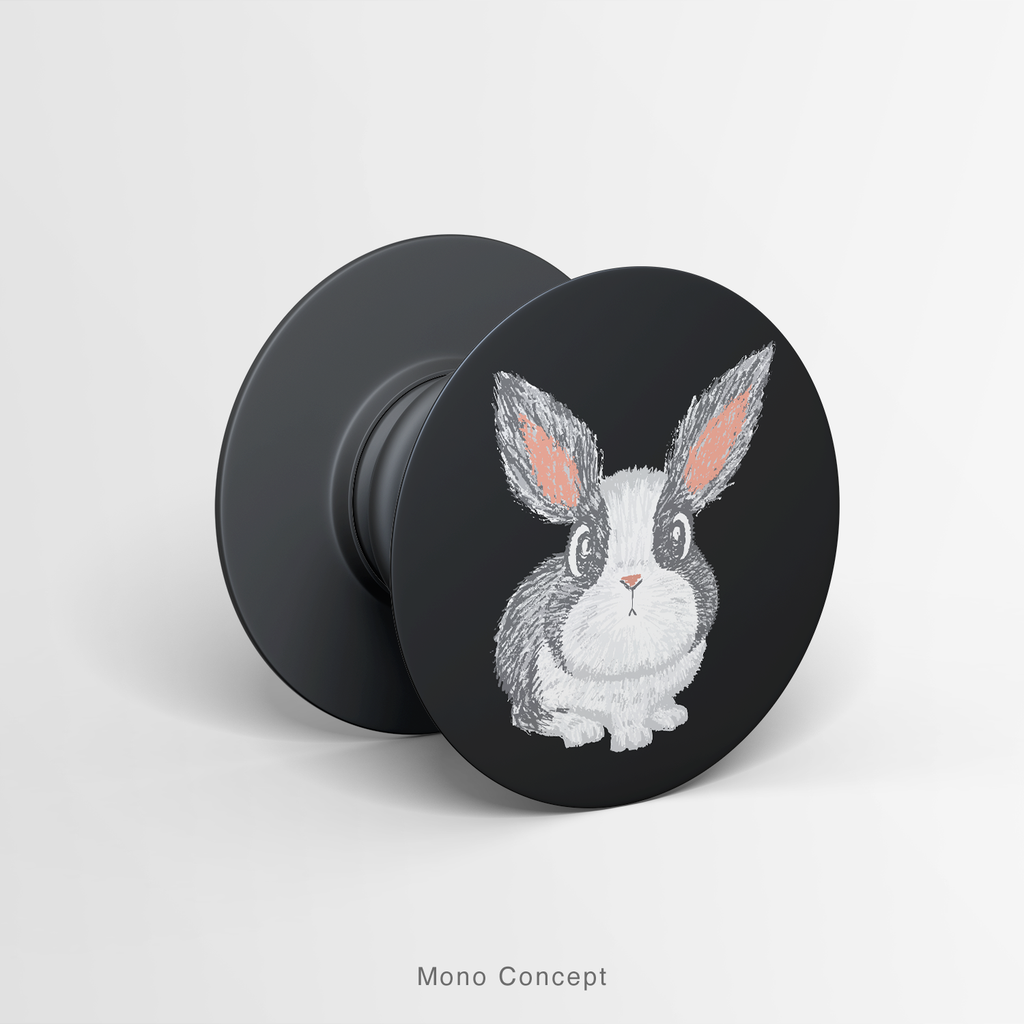 PETS - RABBIT