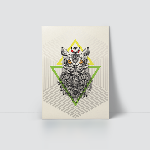 WILD ANIMALS - OWL