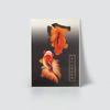 GOLD FISH - TWO BUTTERFLY TAIL