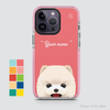 CUTE DOGS - POMERANIAN