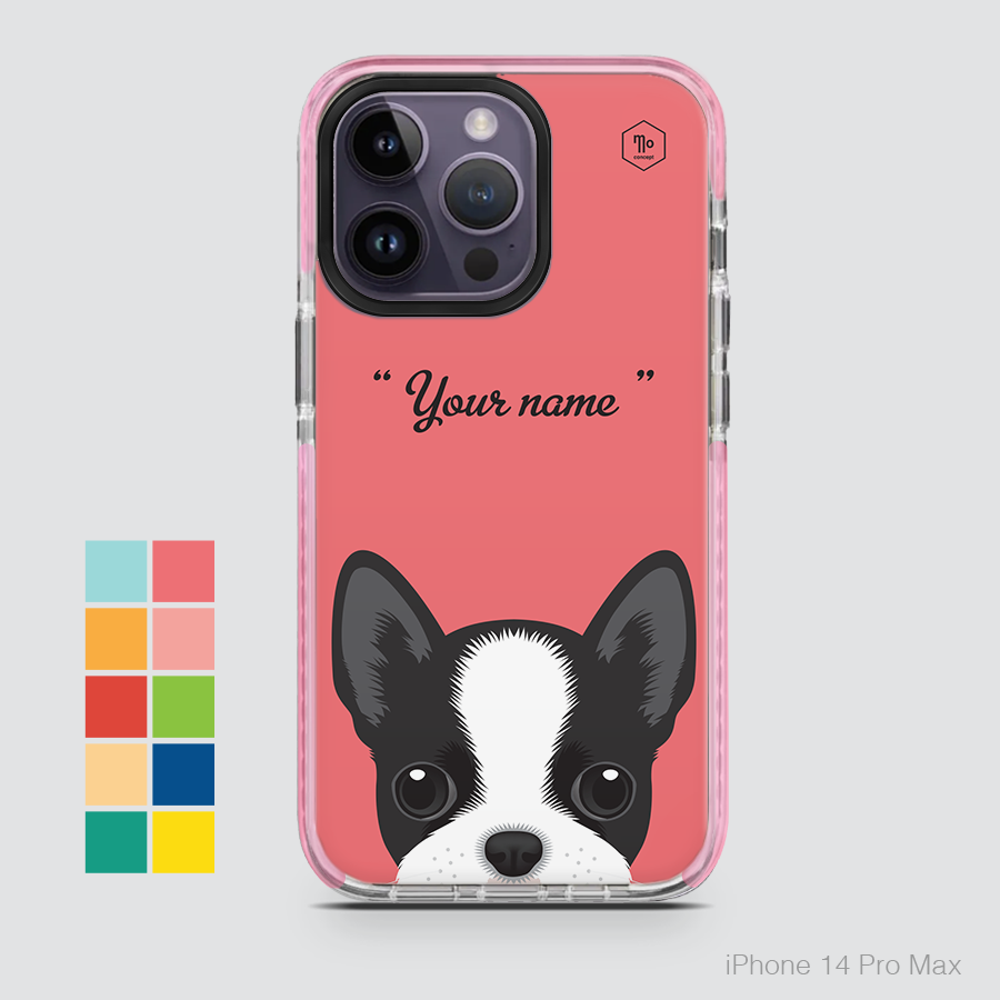 CUTE DOGS - BOSTON TERRIER