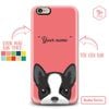CUTE DOGS - BOSTON TERRIER