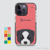 CUTE DOGS - BORDER COLLIE