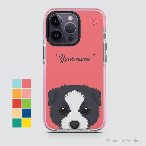 CUTE DOGS - BORDER COLLIE