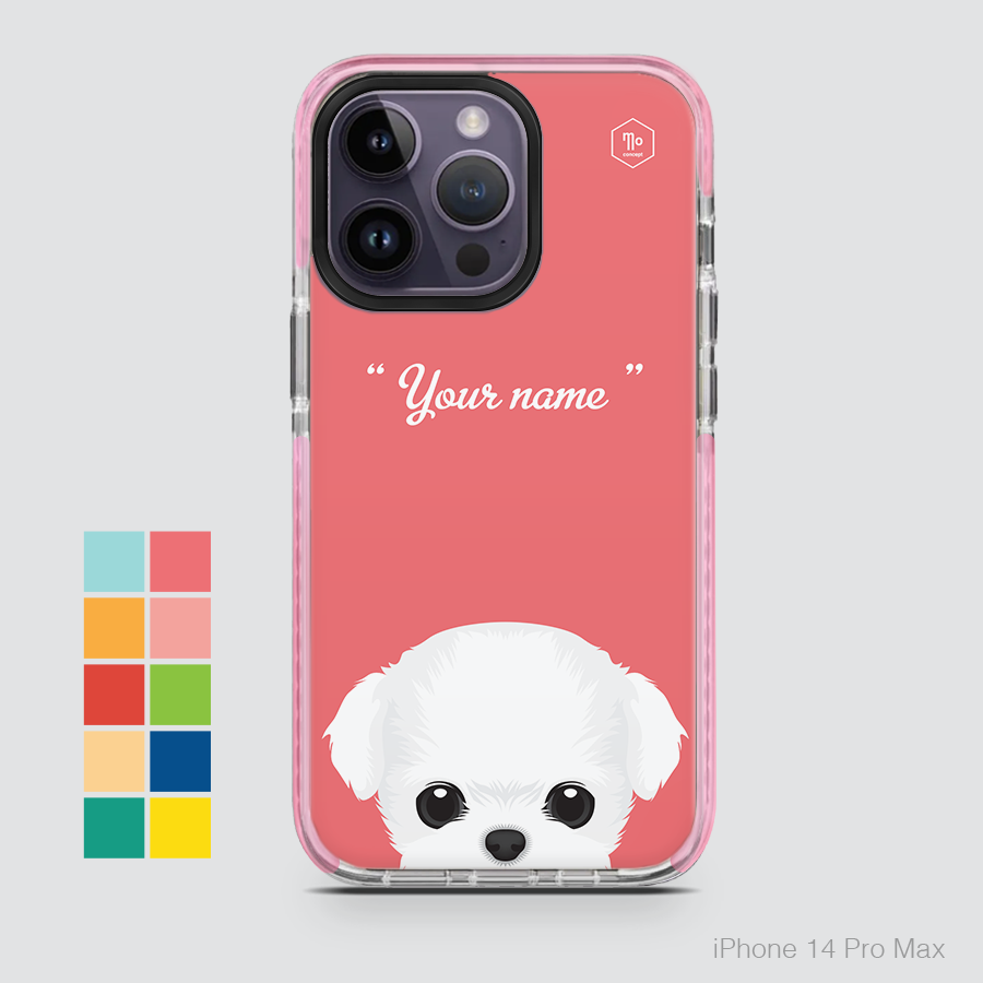 CUTE DOGS - MALTESE