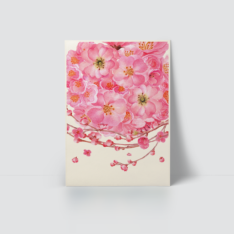 SPRING BLOSSOM - BLOSSOM SKY