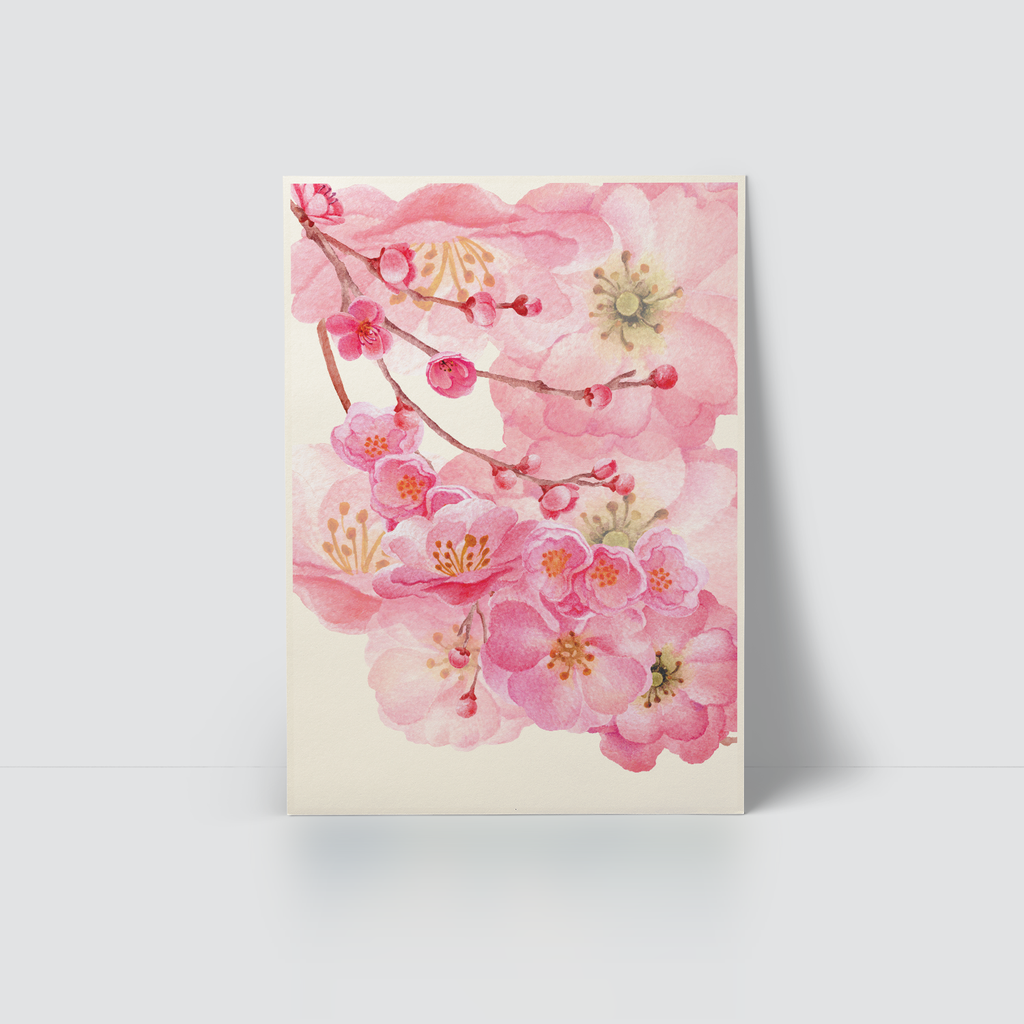 SPRING BLOSSOM - BLOSSOM DREAM