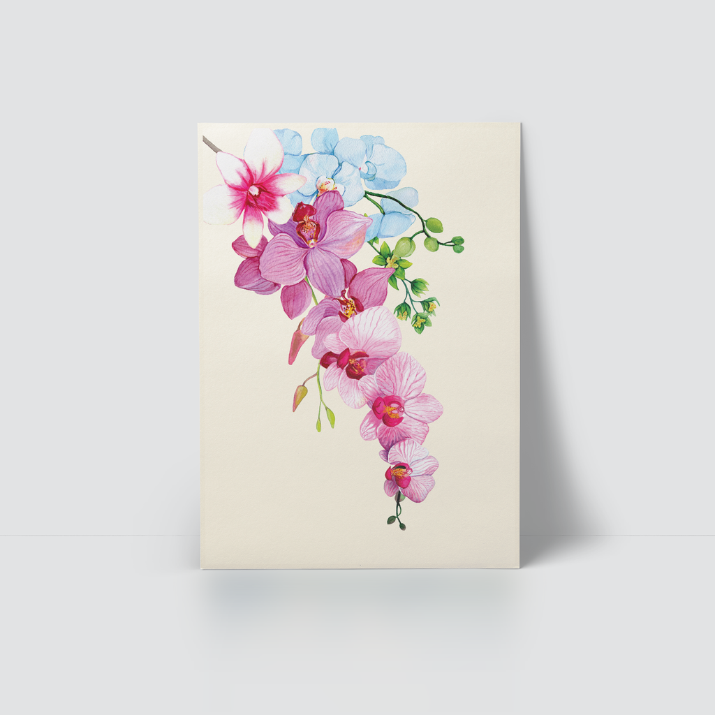 ELEGANT ORCHID - ORCHID BRANCH