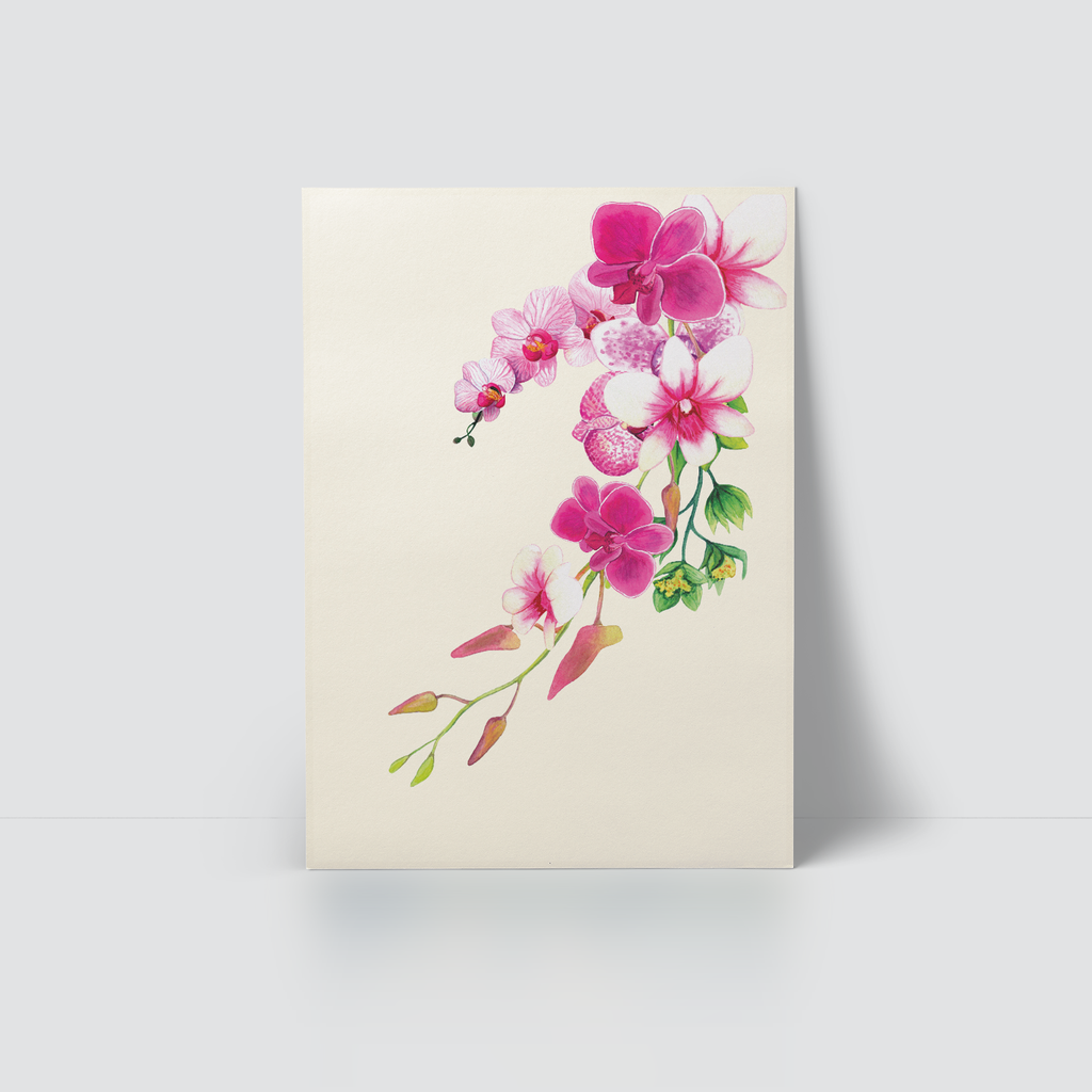 ELEGANT ORCHID - PINK & WHITE