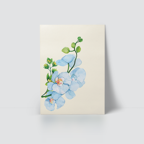 ELEGANT ORCHID - BLUE