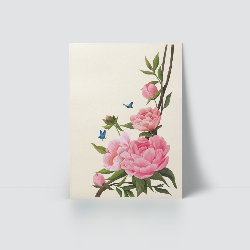 THE FLOWER OF LOVE - PINKY PEONY