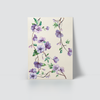 FLOWERS - VIOLET BLOSSOM