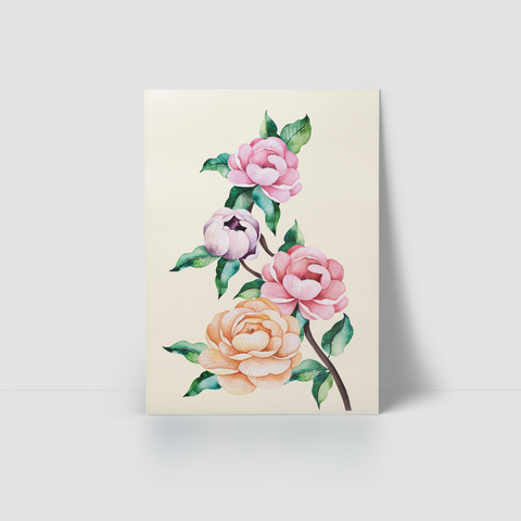 FLOWERS - COLORFUL FLOWERS