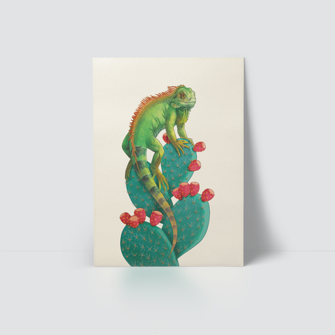 IGUANA & CACTUS