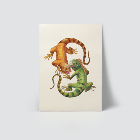 TWO IGUANAS