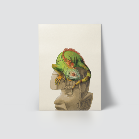GREEN IGUANA