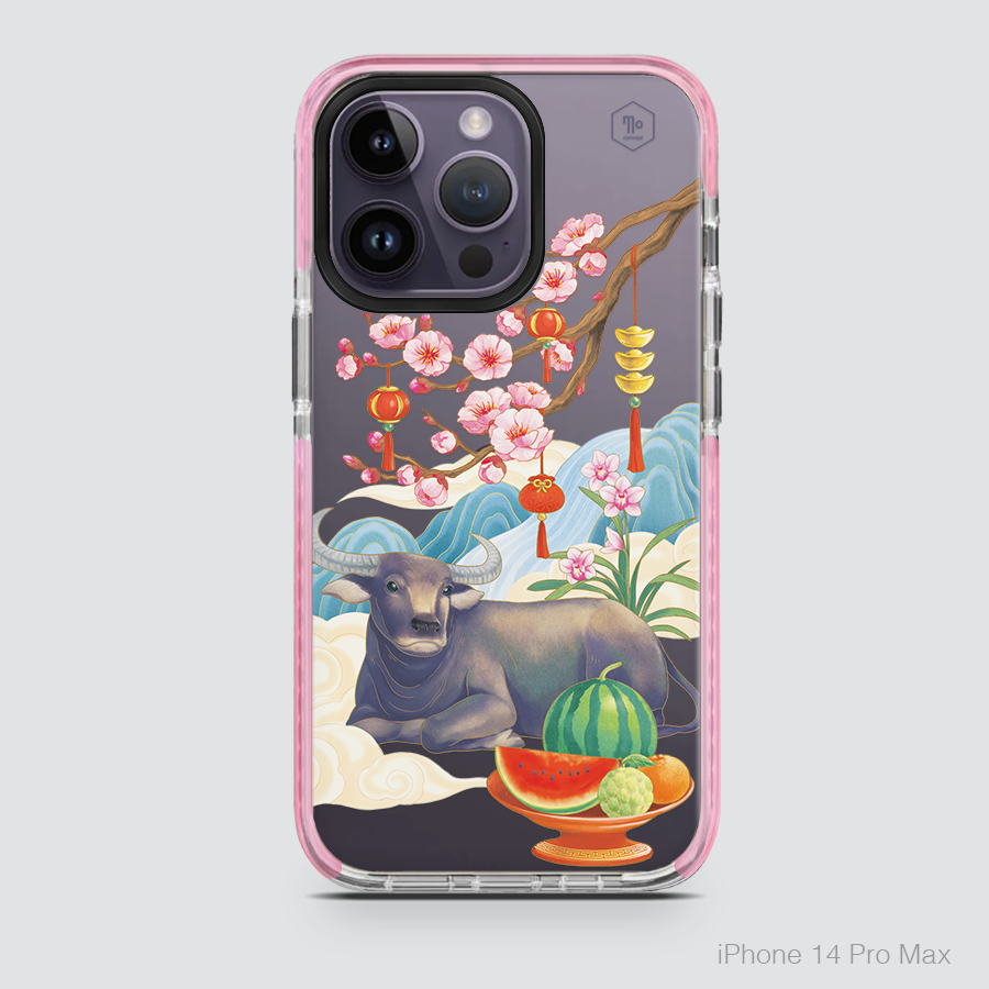 TÂN AN NIÊN -  TÂN NIÊN AN BẰNG