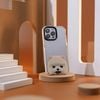 CUTE DOGS - POMERANIAN